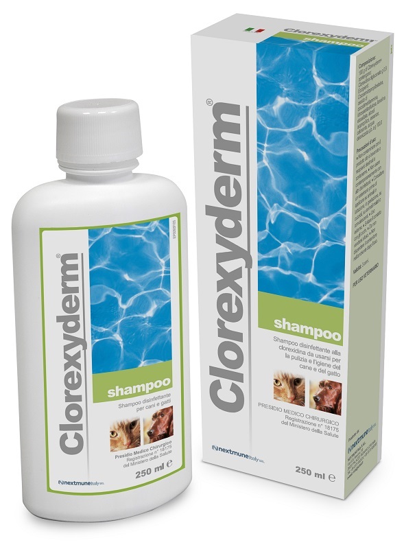 CLOREXYDERM SHAMPOO 250 ML - FARMAPRIME