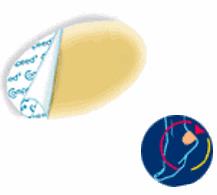 COMPEED VESCICHE CEROTTI FORMATO MEDIO 5 PEZZI - FARMAPRIME
