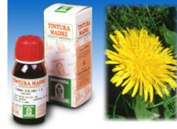 TARASSACO 28 50ML TM - FARMAPRIME