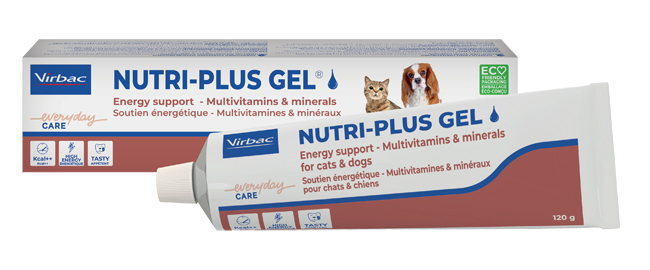 NUTRIPLUS GEL PASTA ORALE 120 G - FARMAPRIME