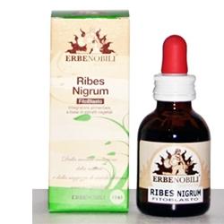 FITOBLASTO RIBES NIGRUM 50 ML - FARMAPRIME