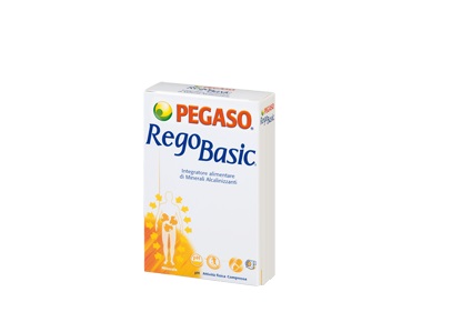 REGOBASIC 12 BUSTINE POLVERE - FARMAPRIME