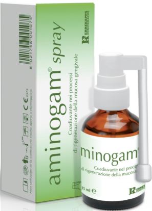 SPRAY AMINOGAM 15 ML - FARMAPRIME