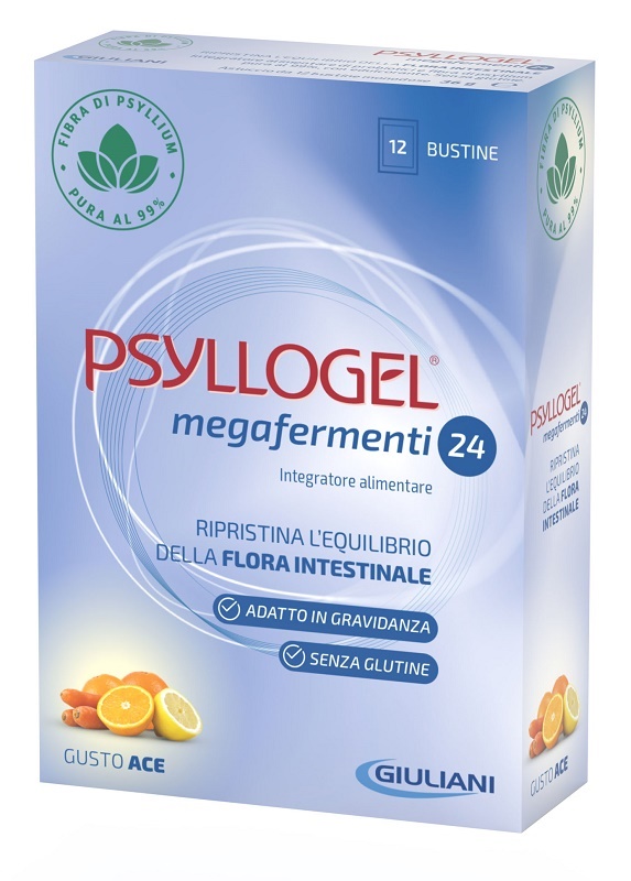 PSYLLOGEL MEGAFERMENTI 24 ACE 12 BUSTE 3 G - FARMAPRIME