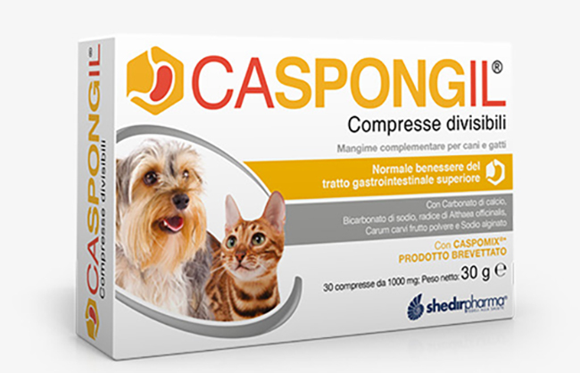 CASPONGIL 30 COMPRESSE DIVISIBILI - FARMAPRIME