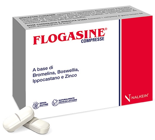 FLOGASINE 20 COMPRESSE - FARMAPRIME