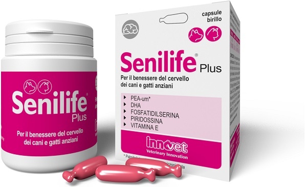 SENILIFE PLUS 60 CAPSULE - FARMAPRIME