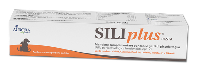 SILIPLUS PASTA 30 G - FARMAPRIME